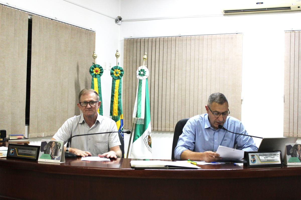 Presidente Tavares (à direita) propôs o “Maio Furta-Cor” (Foto: Divulgação / Câmara)