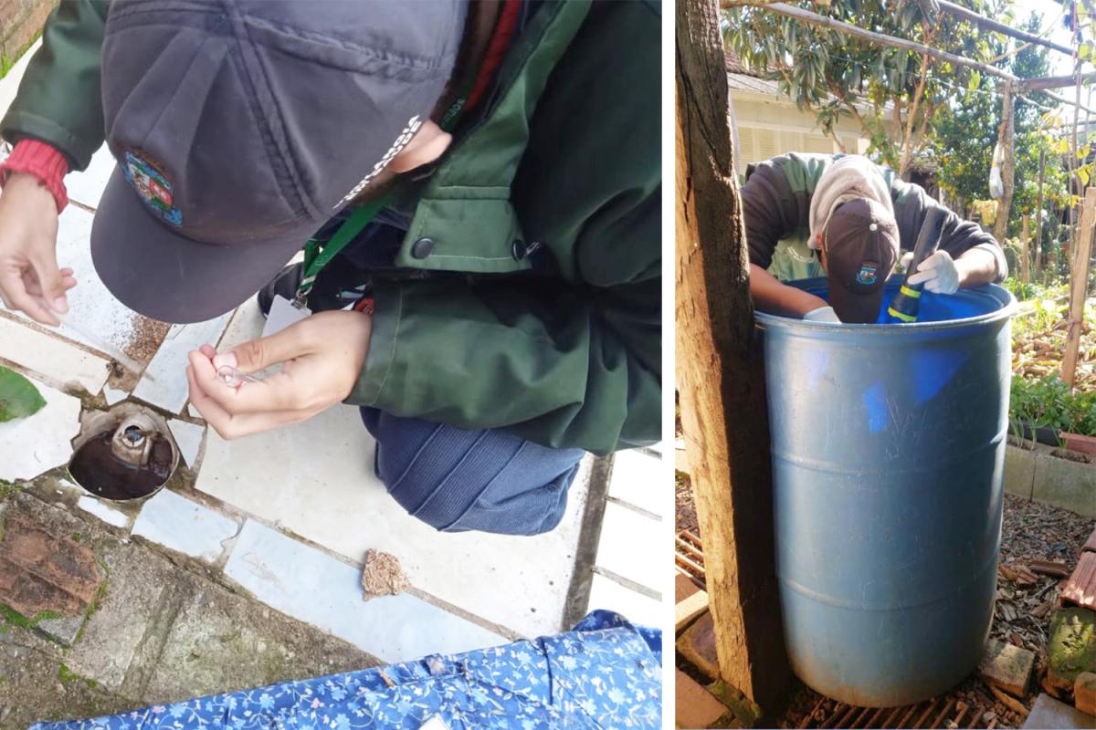 (Fotos: Divulgação / Vigilância em Saúde)