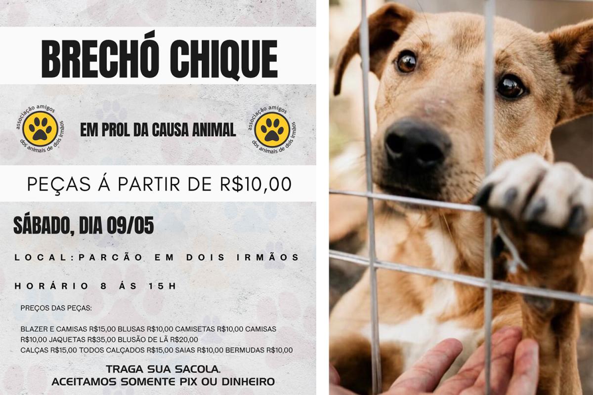 (Imagem: Divulgação)