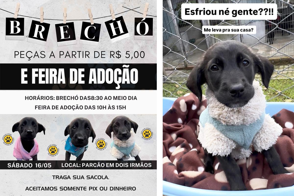(Imagem: Divulgação)