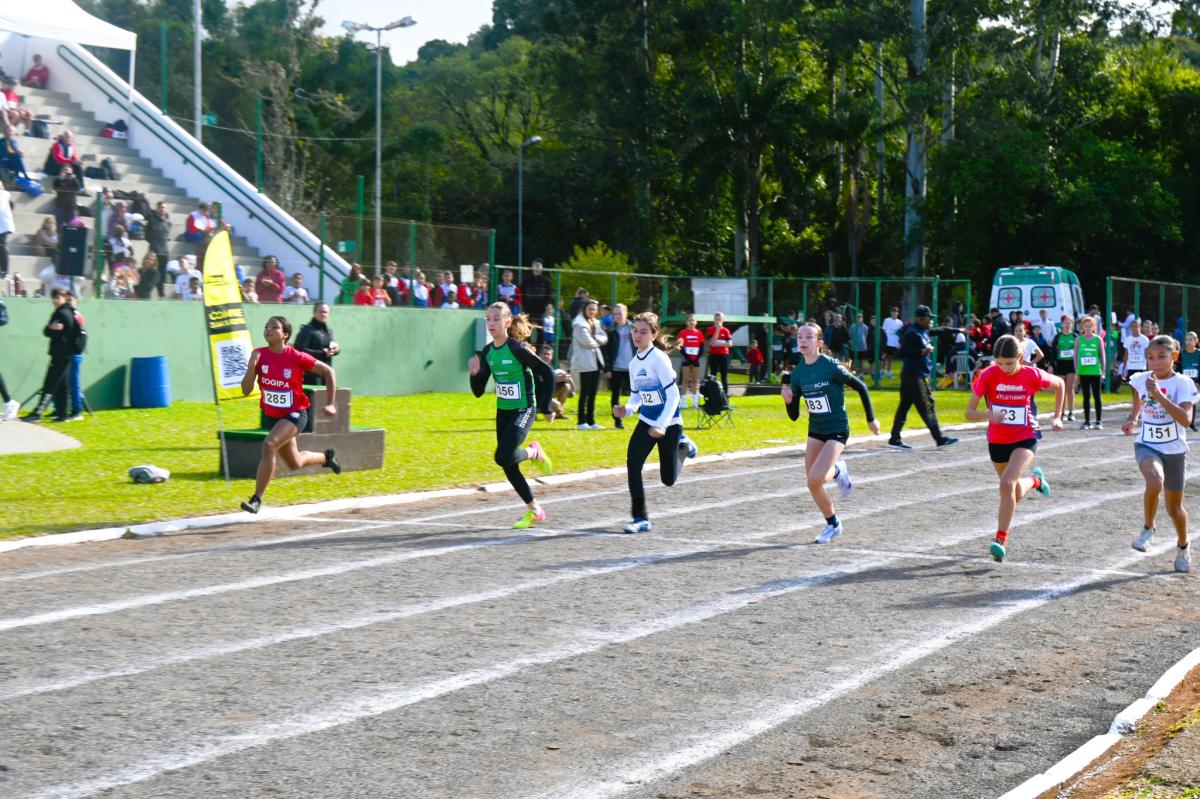 (Fotos: Divulgação / PMDI)