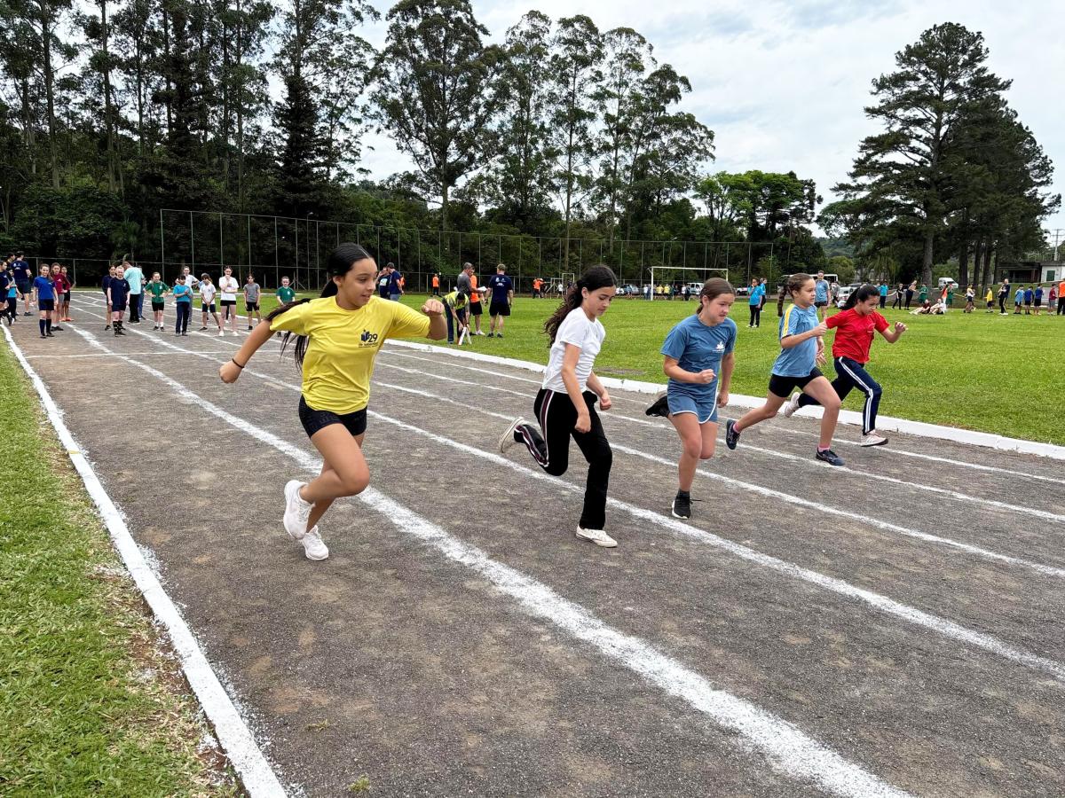 (Foto: Divulgação / PMDI)