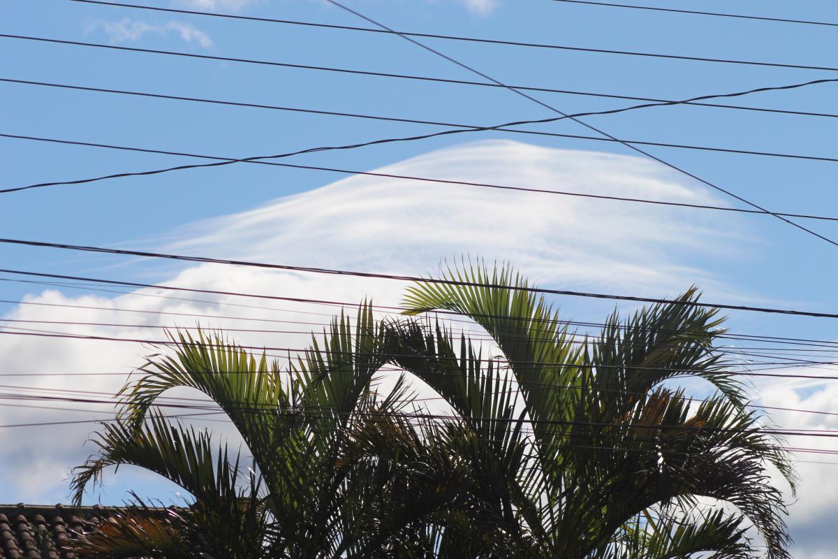 (Foto: Octacílio Freitas Dias)