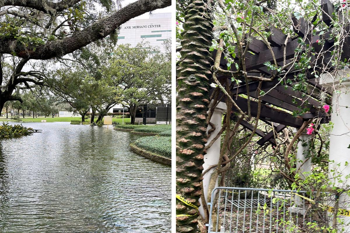 Fotos da Universidade do Sul da Flórida, em Tampa, após a passagem do furacão