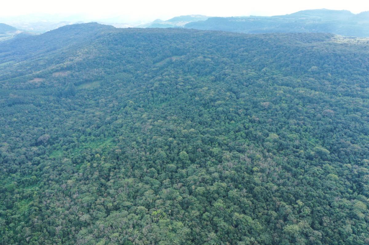 Área situada mais ao noroeste, faz divisa com os municípios Dois Irmãos, Morro Reuter e Ivoti (Fonte: Alto Uruguai Engenharia e Planejamento de Cidades, 2024) Área situada mais ao noroeste, faz divisa com os municípios Dois Irmãos, Morro Reuter e Ivoti (Fonte: Alto Uruguai Engenharia e Planejamento de Cidades, 2024)