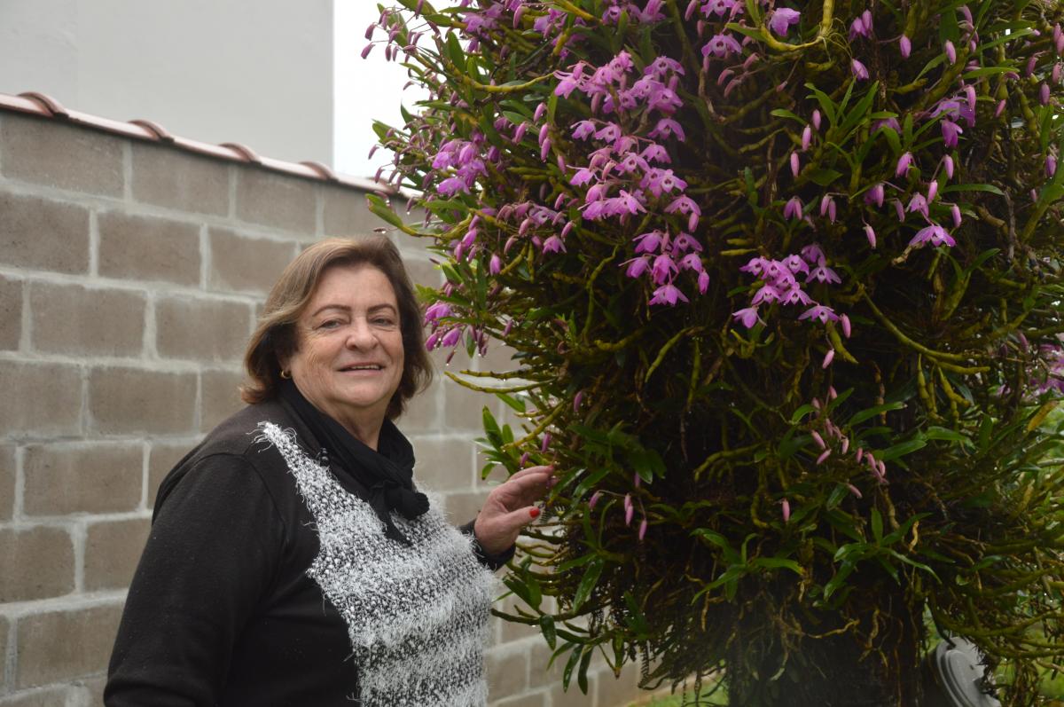 Maria Helena gosta de manter seu jardim bem cuidado e florido