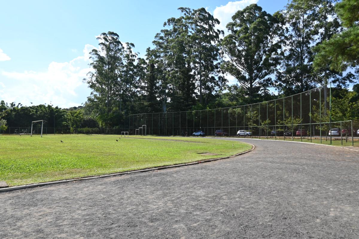 (Foto: Divulgação / PMDI)