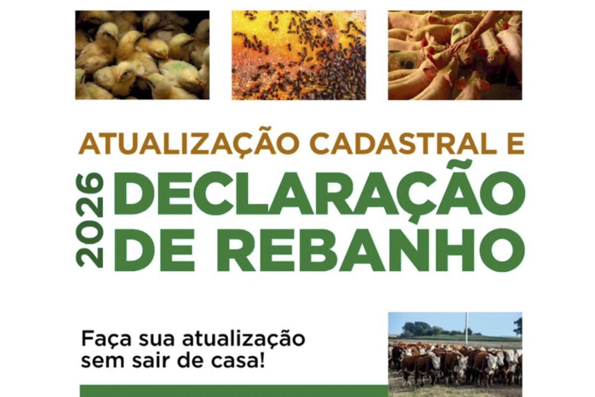 (Imagem: Divulgação)