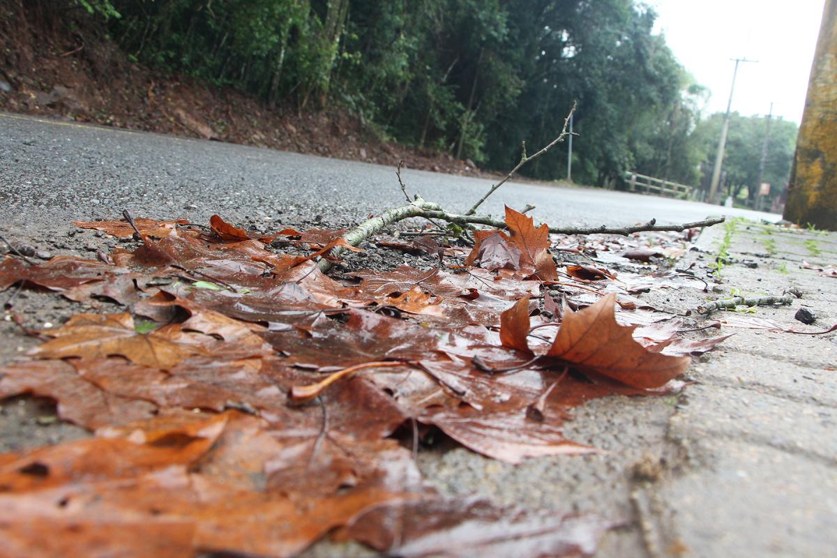Fonte: GZH / Foto: JDI