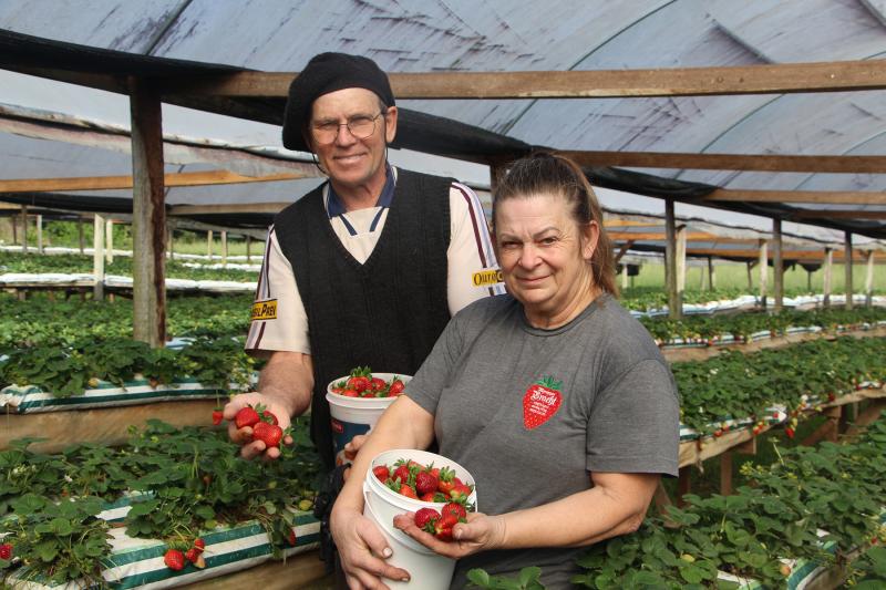 Aniversário da cidade relembra importância da agricultura em Dois Irmãos