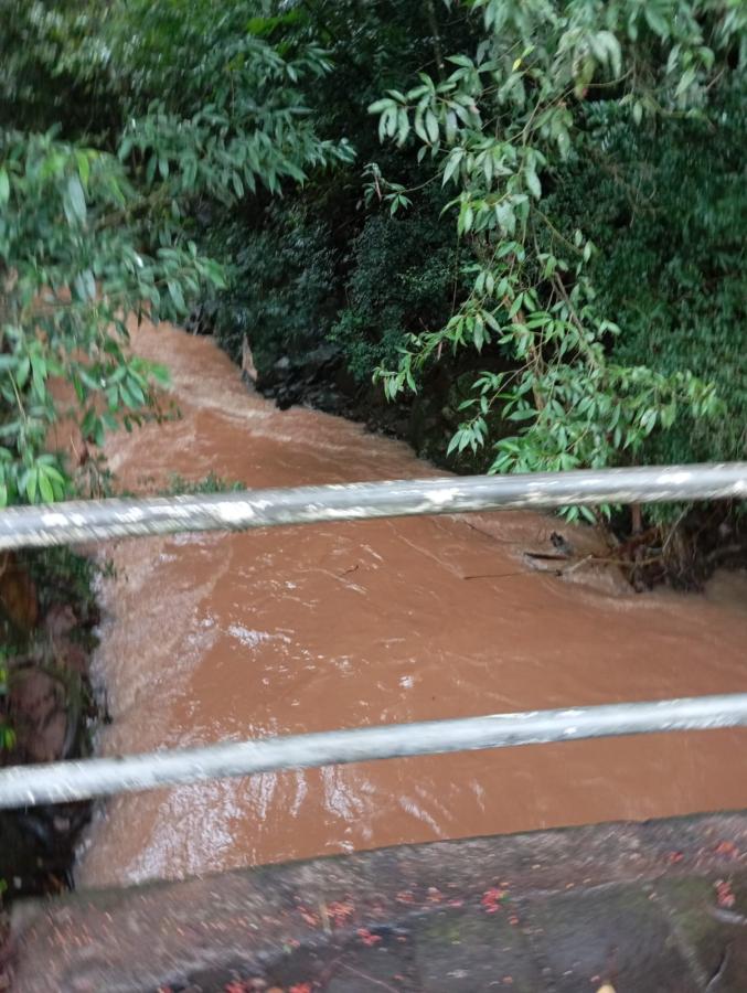 Arroio da Esquerda (Foto: JDI)