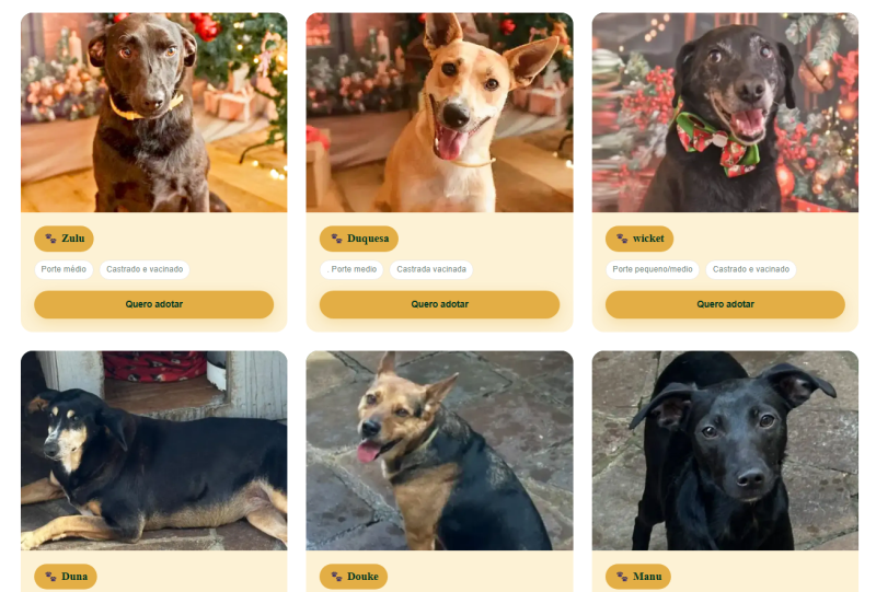Associação Amigos dos Animais lança site para facilitar adoção em Dois Irmãos