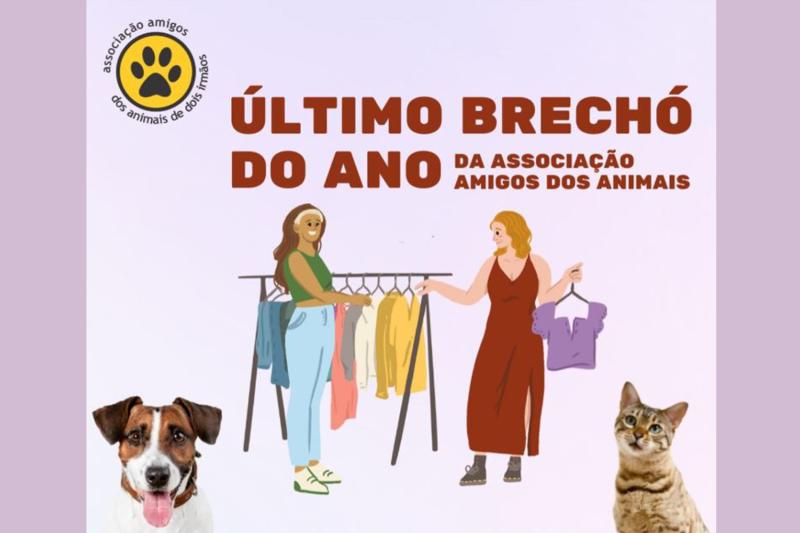 (Imagens: Divulgação)
