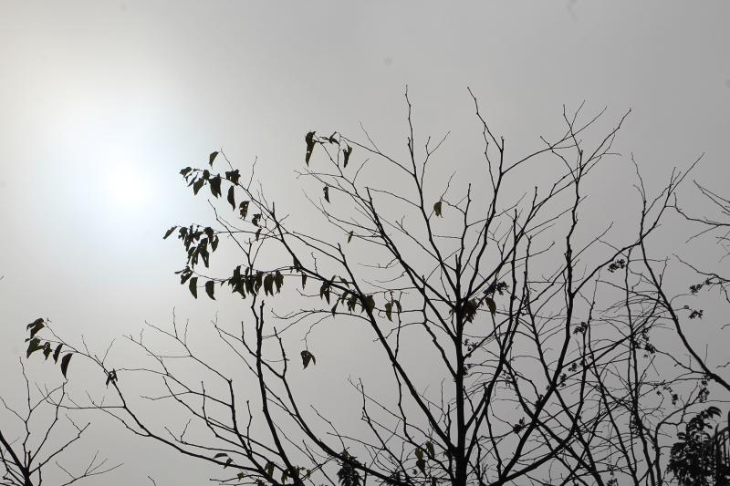 Fonte: GZH / Foto: JDI