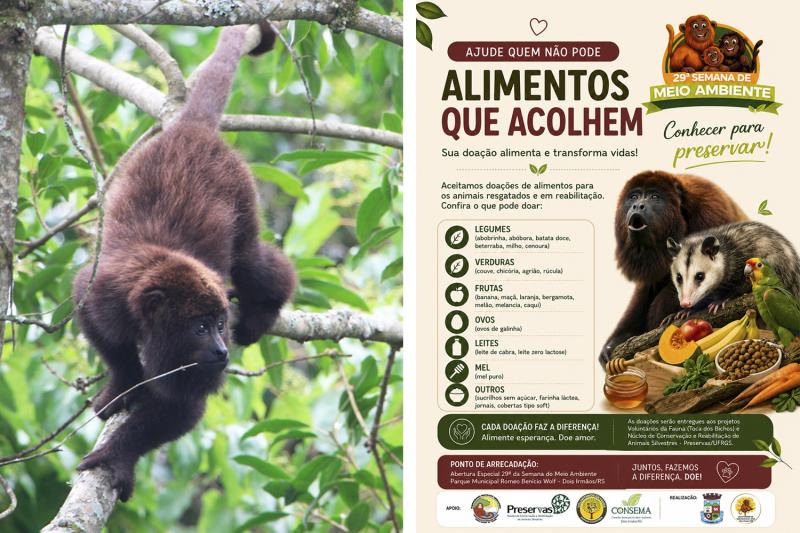Dois Irmãos terá arrecadação de alimentos para fauna silvestre resgatada