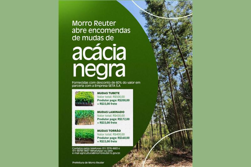 Encomendas de mudas de acácia-negra podem ser feitas até 31 de julho
