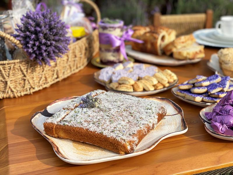 Festa Nacional da Lavanda começa nesta quinta-feira em Morro Reuter