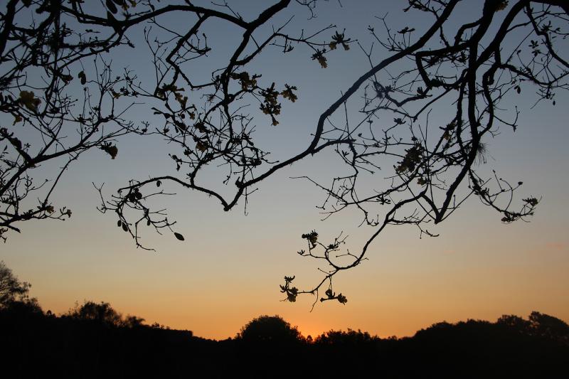 Máxima não passa de 13°C no sábado e chega a 20°C no domingo