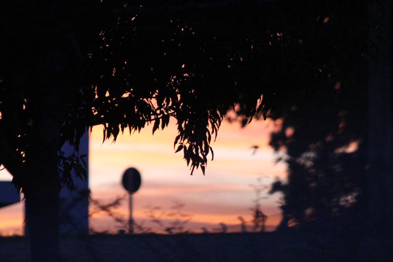 Frio intenso e chance de geada marcam início da semana no RS; veja a previsão
