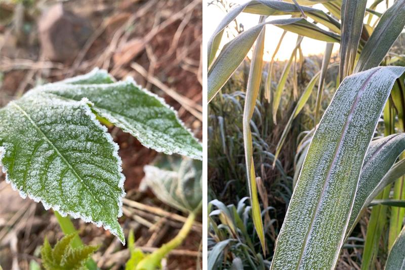 Dois Irmãos teve mínima de 1°C, segundo a Climatempo