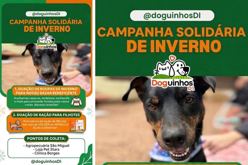 Grupo Doguinhos DI promove ação solidária de inverno em Dois Irmãos
