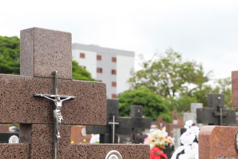 Confira a programação