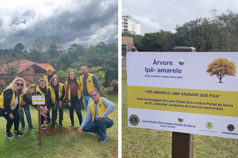(Fotos: Divulgação / Lions)