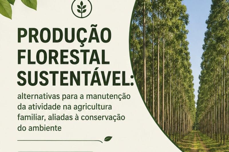 Morro Reuter terá palestra e capacitação sobre produção florestal sustentável