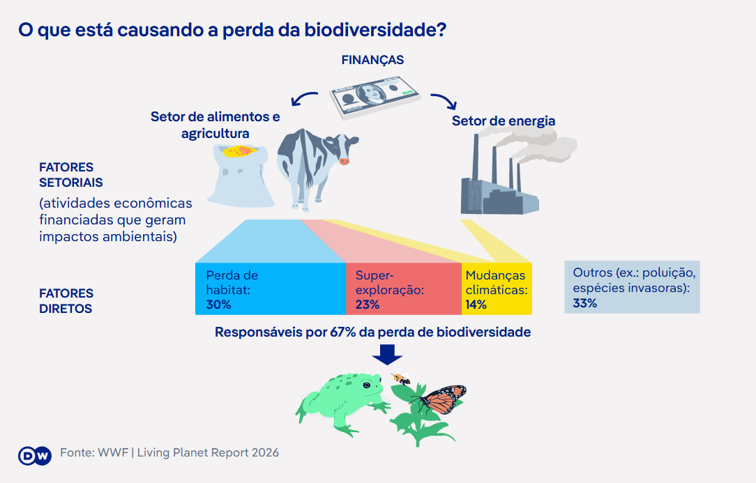 O que a sexta extinção em massa da Terra significa para os humanos