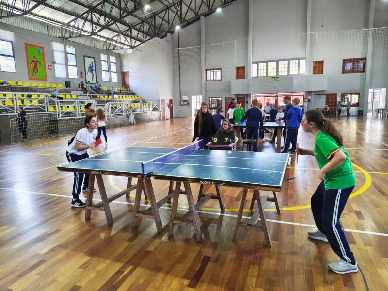 (Fotos: Divulgação / Desporto)