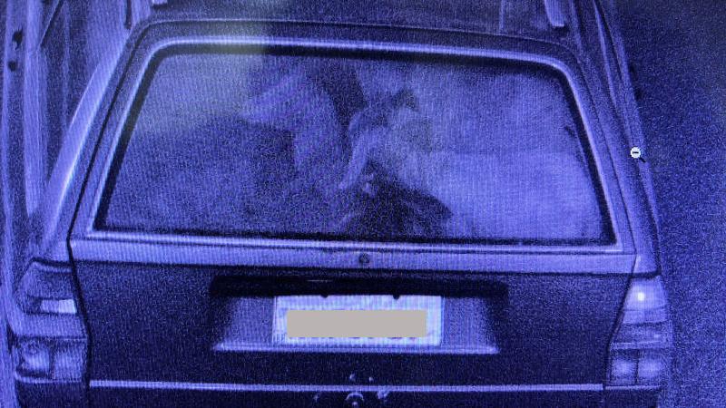 Polícia Civil esclarece crime de abigeato ocorrido no bairro Portal da Serra