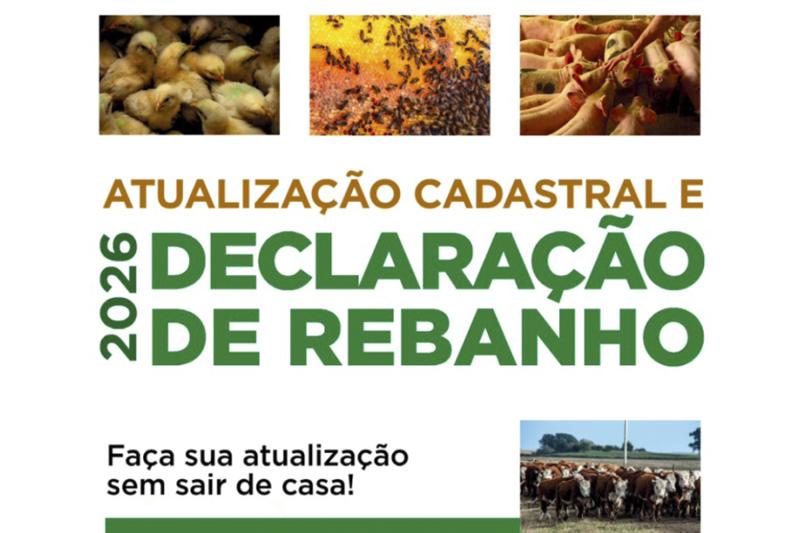 (Imagem: Divulgação)