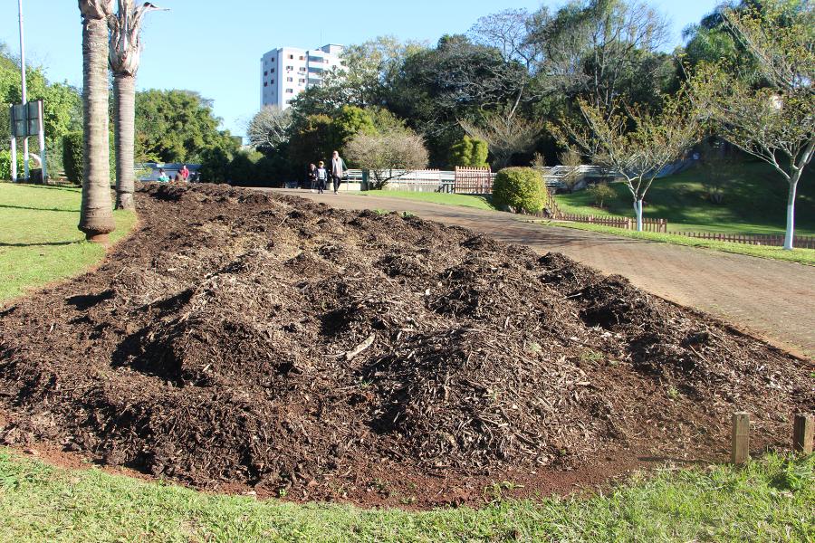 Preparo de novo plantio
