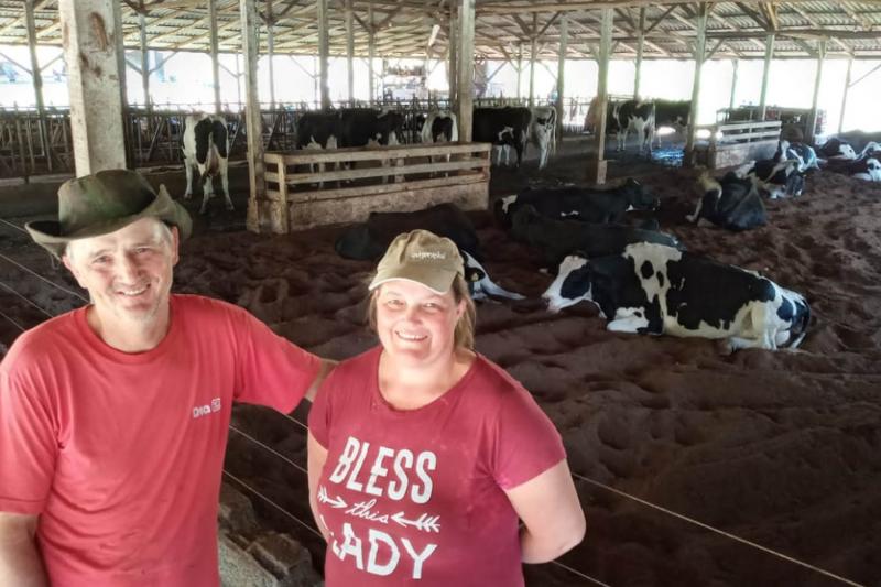 Amadeo e Leonice junto ao gado de alta produção leiteira, que produz em tempo normal mais de 50 litros-dia por cabeça