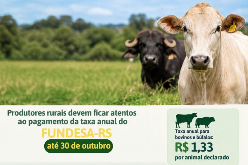 (Imagem: Divulgação)