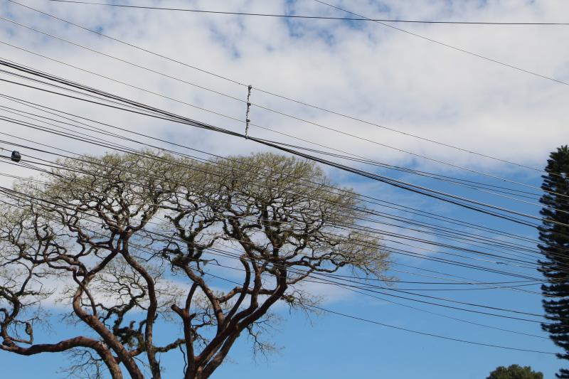 Semana começa com tempo firme, mas sob frio intenso no Estado