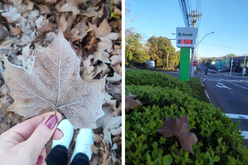 SEMANA DE FRIO E GEADA