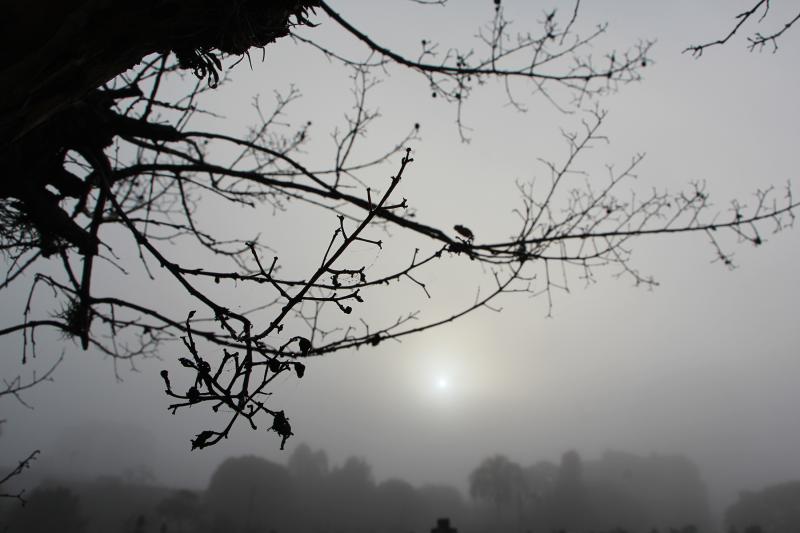 Fonte: GZH / Foto: JDI