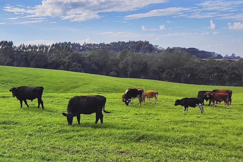 Talão do Produtor deve ser entregue até 15 de março em Morro Reuter