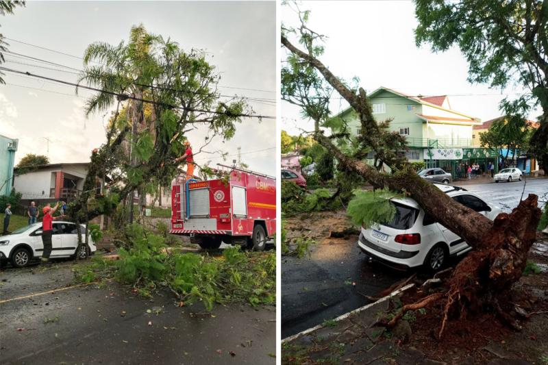 Árvore caiu sobre carro na Av. Porto Alegre, no Centro
