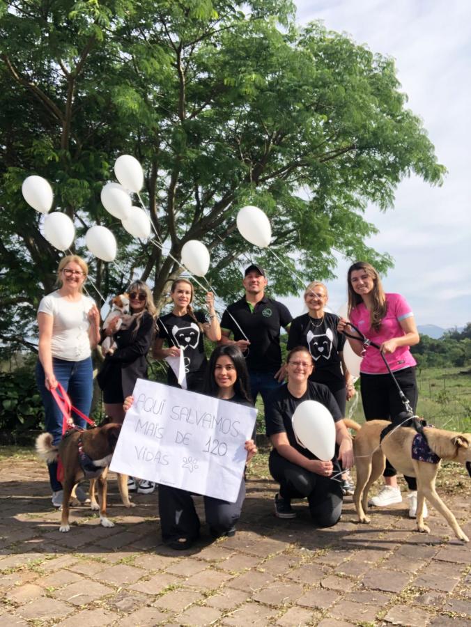 Voluntários celebram adoção de todos os cães